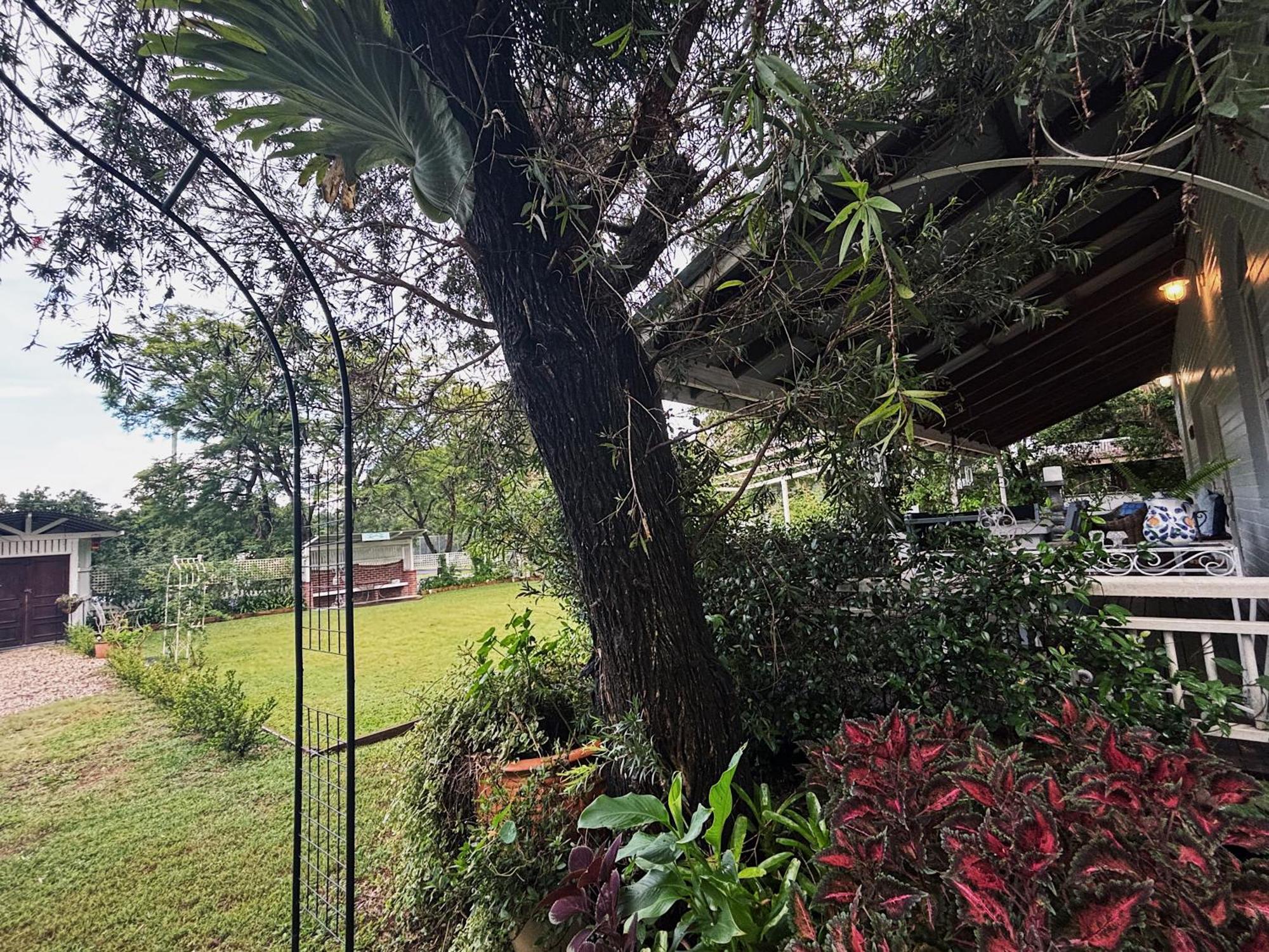 Celestial Dew Guesthouse In Tyalgum Exterior photo